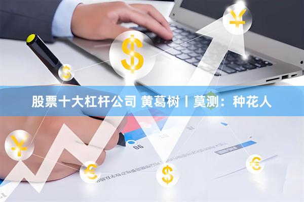 股票十大杠杆公司 黄葛树丨莫测：种花人