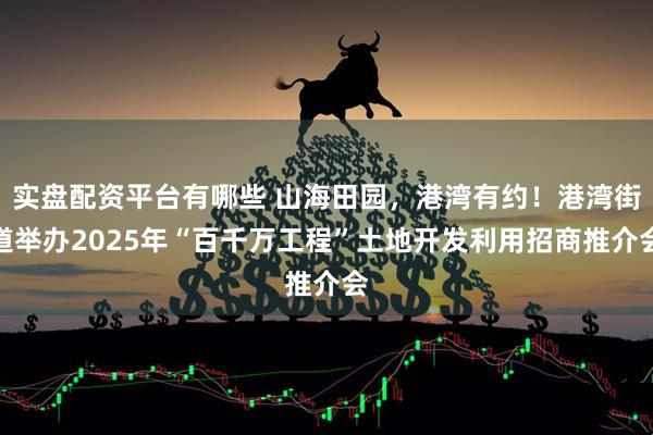 实盘配资平台有哪些 山海田园，港湾有约！港湾街道举办2025年“百千万工程”土地开发利用招商推介会