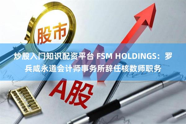 炒股入门知识配资平台 FSM HOLDINGS：罗兵咸永道会计师事务所辞任核数师职务