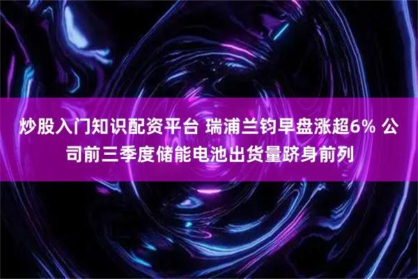 炒股入门知识配资平台 瑞浦兰钧早盘涨超6% 公司前三季度储能电池出货量跻身前列