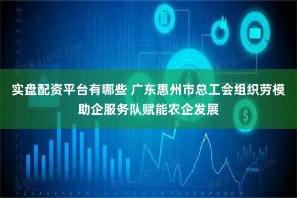 实盘配资平台有哪些 广东惠州市总工会组织劳模助企服务队赋能农企发展
