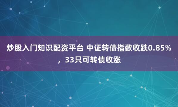 炒股入门知识配资平台 中证转债指数收跌0.85%，33只可转债收涨